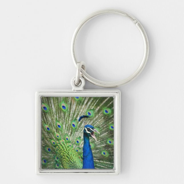 Screaming peacock keychain (Front)