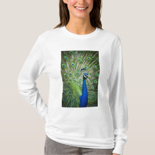 Screaming peacock T-Shirt