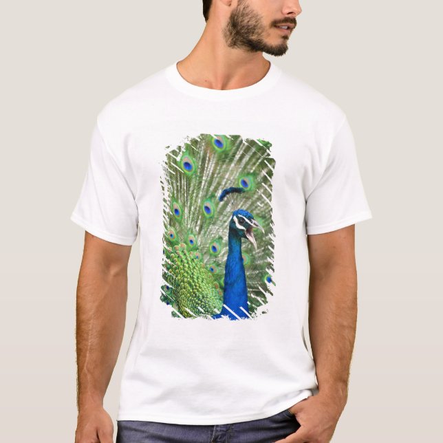 Screaming peacock T-Shirt (Front)