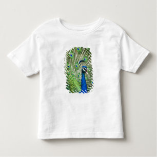 Screaming peacock toddler t-shirt
