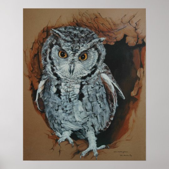 Screech Owl Art Poster | Zazzle.com