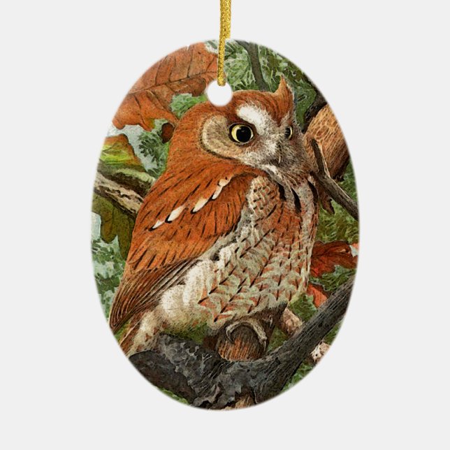 Screech Owl (brown phase) Ceramic Ornament (Front)