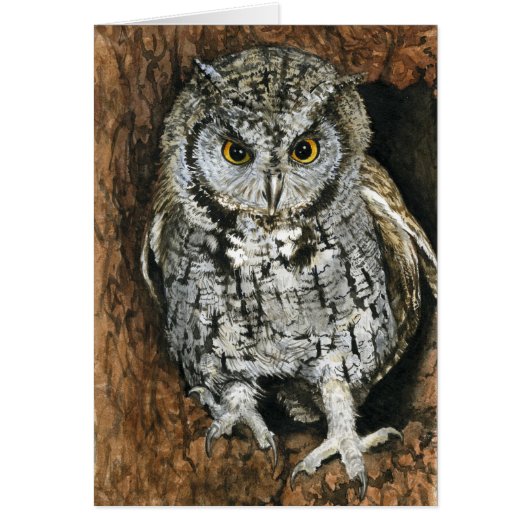 Screech Owl Cards (Front)