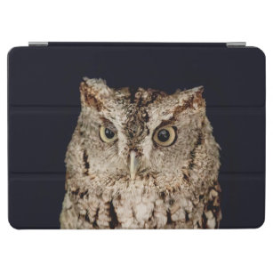 Screech Owl iPad Air Cover