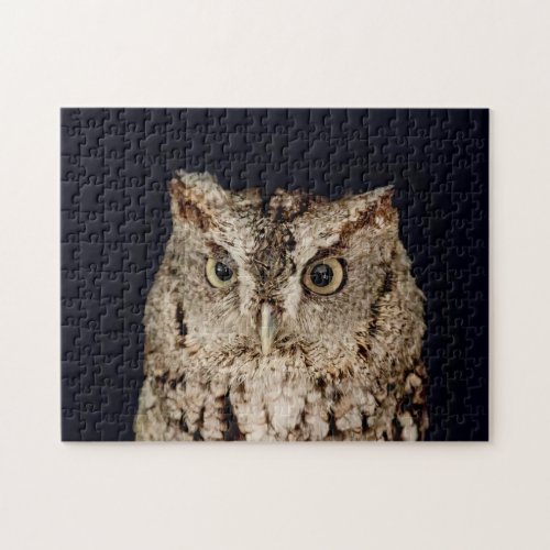 Screech Owl Jigsaw Puzzle