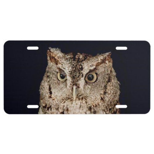 Screech Owl License Plate