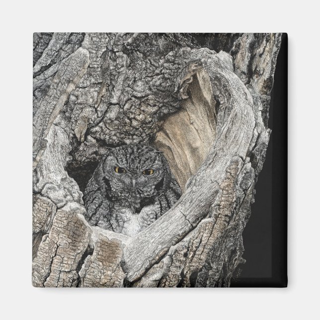 Screech Owl Magnet - "Heart of San Pedro" (Front)