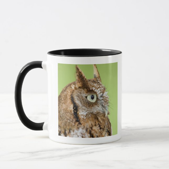 Screech owl portrait mug (Left)