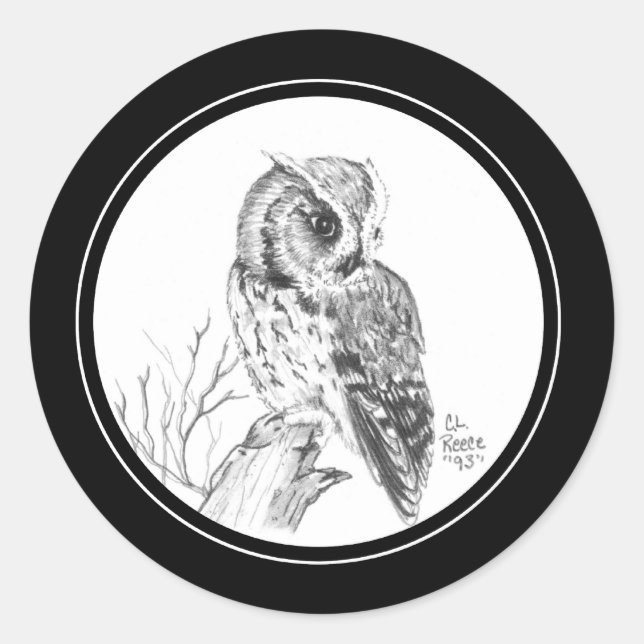 Screech Owl Sticker in pencil (Front)