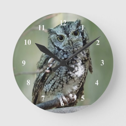 Screech Owl Tree Branch Photo Round Clock