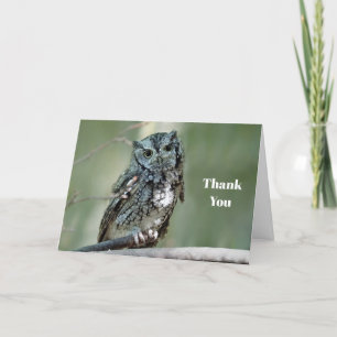 Screech Owl Tree Branch Photo Thank You Card