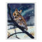 Screech Owl Winter Night