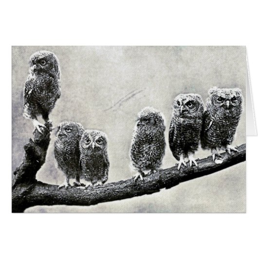 Screech Owls Card (Front Horizontal)