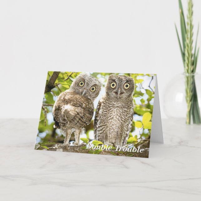 Screech Owls Chicks Holiday Card (Front)