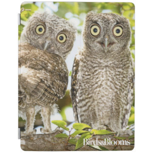 Screech Owls Chicks iPad Smart Cover