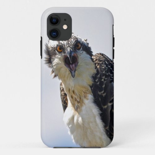 Screeching Osprey Fish_Eagle Wildlife Photograph iPhone 11 Case