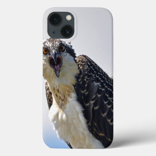 Screeching Osprey Fish_Eagle Wildlife Photograph iPhone 13 Case
