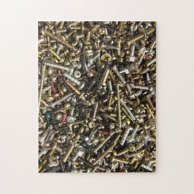 Screw Assortment Puzzle (Vertical)