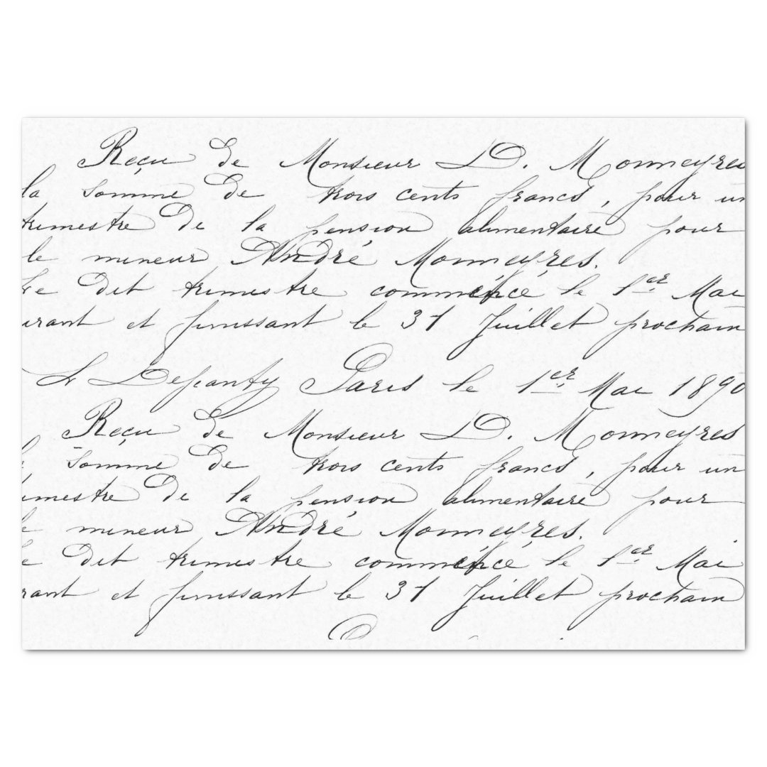 Script Tissue Paper | Zazzle
