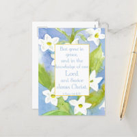 Scripture 2 Peter 3:18 Nicotiana Flowers