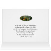 Scripture Card: CA Poppies (Inside Horizontal (Top))