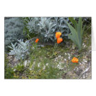 Scripture Card: CA Poppies
