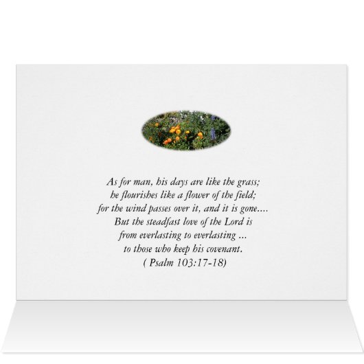 Scripture Card: CA Poppies Cards (Inside Horizontal (Top))