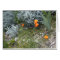 Scripture Card: CA Poppies