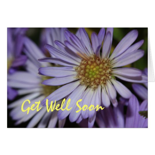 Scripture Card --Purple Daisies Get Well Soon Card | Zazzle