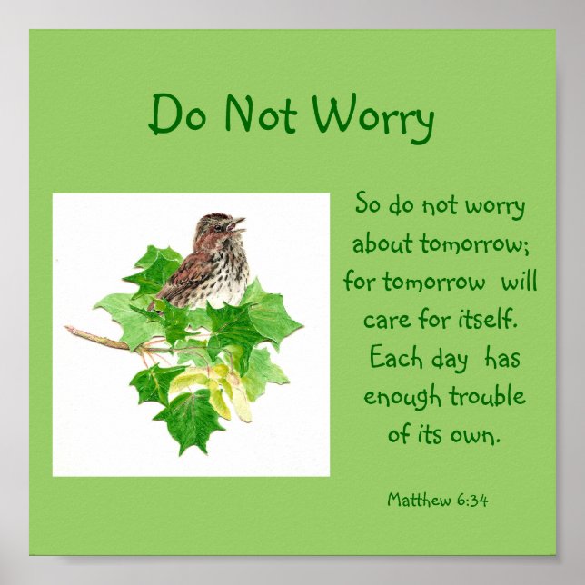 Scripture Do Not Worry with Song Sparrow Poster (Front)