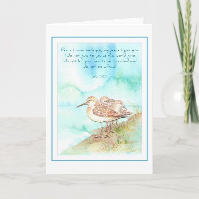 Scripture, Inspiration, John 14:27, Beach Bird Card (Front)