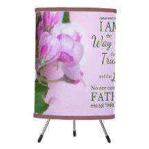 Scripture Lamp John 14:6
