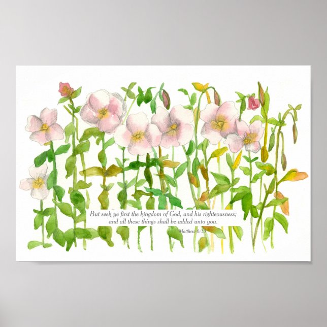 Scripture Matthew 6:33 Bible Verse Primrose Flower Poster (Front)
