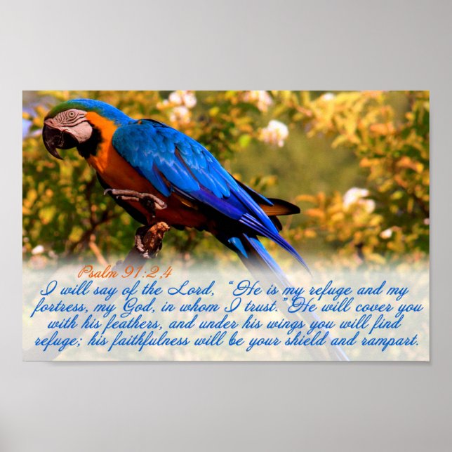 Scripture print: Psalm 91:2,4 with Blue Macaw Poster (Front)