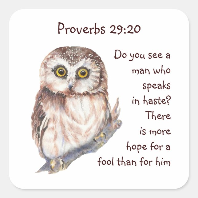 Scripture Proverbs 29:20 Don't Speak in Haste Owl Square Sticker (Front)