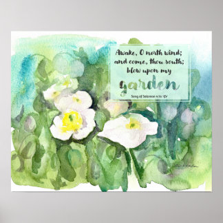 Scripture Song of Solomon White Poppies Poster