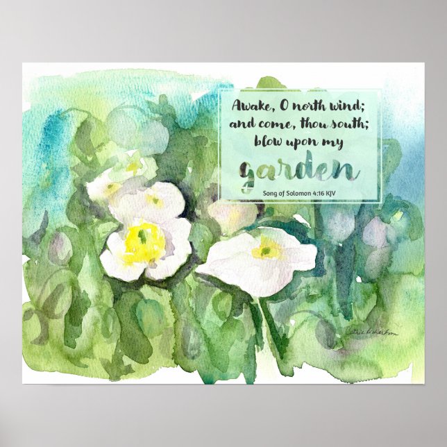 Scripture Song of Solomon White Poppies  Poster (Front)