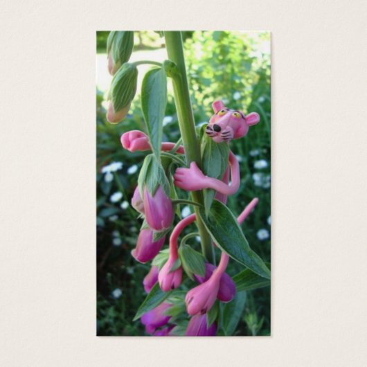 Scriptures Made Fun: John 15:5 (Front)