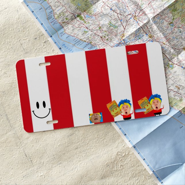 Scrub Daddy Mininos License Plate (In Situ)