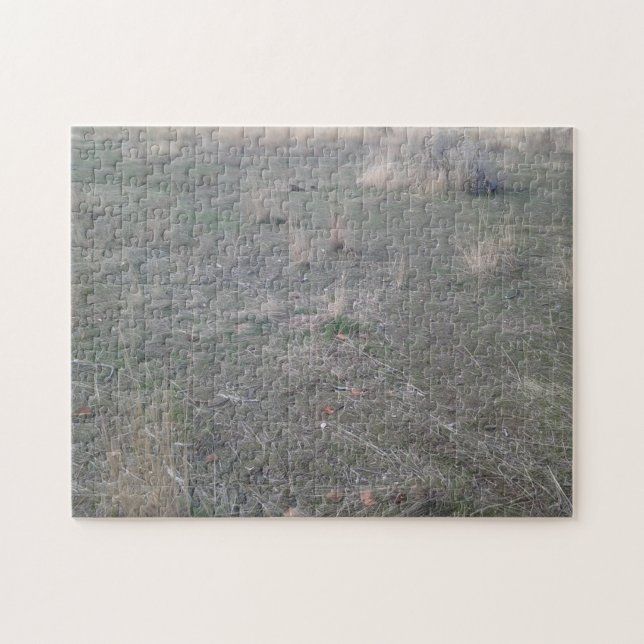 Scrub Desert Jigsaw Puzzle (Horizontal)