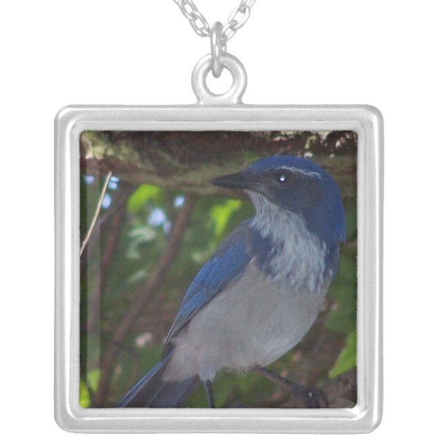 Scrub Jay Necklace (Front)