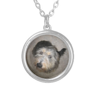 Scruffy cute dog necklace