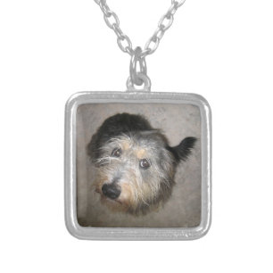 Scruffy cute dog necklace