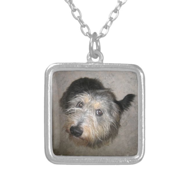 Scruffy cute dog necklace (Front)