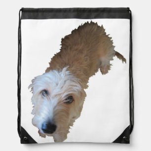 Scruffy Dog Backpack