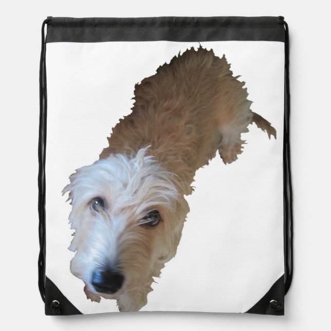 Scruffy Dog Backpack (Front)