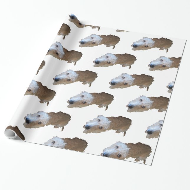 Scruffy Dog Wrapping Paper (Unrolled)
