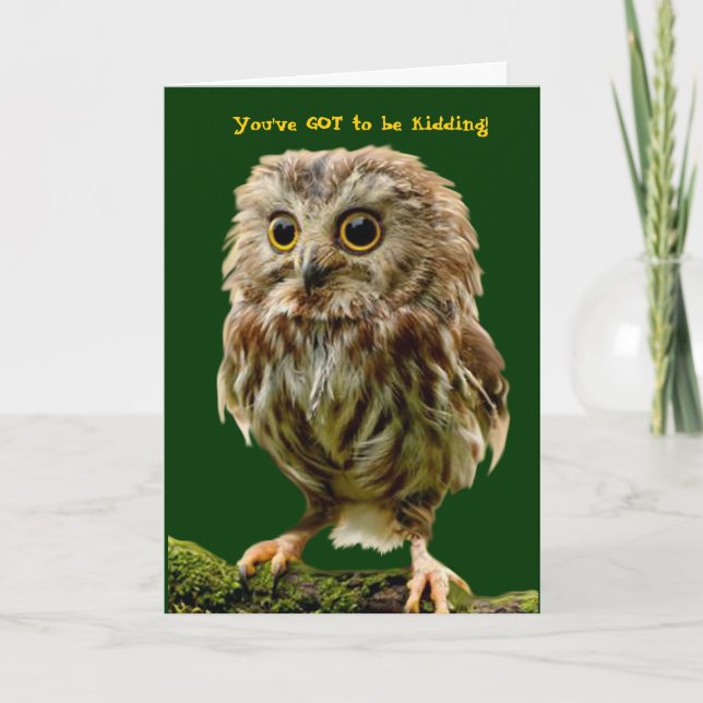 Scruffy Owl birthday card (Front)