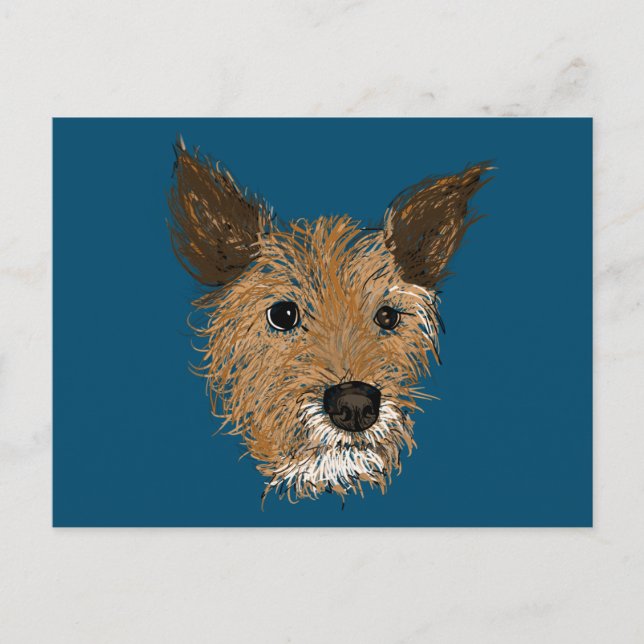 scruffy pups postcard (Front)