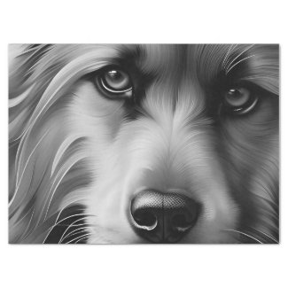 SCRUFFY TERRIER DOG BLACK AND WHITE